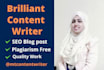 be your SEO content writer, blog post writer