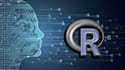 do r programming, data analysis and visualization