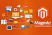 bug fix, develop, customize, anything on magento 2