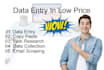 do data entry in low price