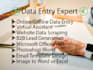 do fastest data entry, website scraping, data collection, best virtual assistant