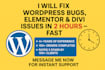 fix wordpress errors, bugs, elementor and divi issues fast