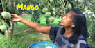 make village cooking video for your youtube