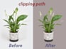 clipping path and cutout background removal service