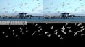 do vfx,rotoscoping, green screen removal, and cleanup