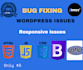 fix html, css, javascript, angularjs wordpress, and responsive issues