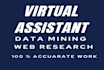 do web research, virtual assistant, data mining, linkedin
