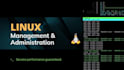 install and fix linux server, wordpress, mysql, nginx, apache, plesk, cpanel