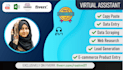 do data entry, copy paste, web research as your VA