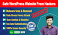 protect wordpress websites from hackers