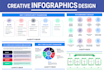design professional infographic, flowchart, pie charts, graph diagram