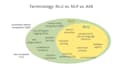 natural language processing tasks