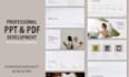 design professional PPT and business profile