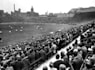 research and write on football, tennis or golf history