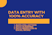 fastest data entry in one day and data collection