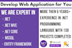 develop custom web application on asp net mvc, asp net core