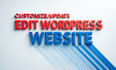 expertly edit wordpress website