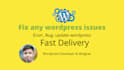 fix wordpress issues,  bug, error, update wordpress website