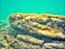 provide underwater photography and videography as requested