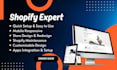 redesign shopify website or shopify store