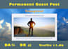 provide guest post on trans4mind