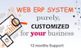 develop responsive erp, business web system for you