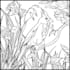 send you 50 pages coloring beautiful birds