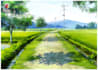 create anime, game, and visual novel background painting