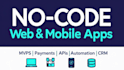 create bubble io mvp web app for startups with full functionality
