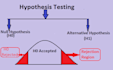 do tasks related to hypothesis testing