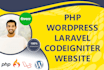 provide wordpress website maintenance, ai, update, support and assistance