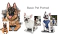 paint your pet portrait digitally