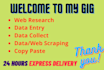 do data entry web research and web scraping