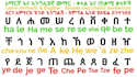 translate from amharic and tigrinya to english and vice versa