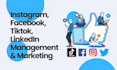 be professional social media manager and content creator