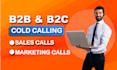 be you VA for any type of b2b or b2c calls