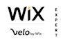 provide wix website design and wix development by velo coding  or wix code