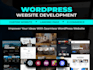 develop, debug, and customize your wordpress website professionally