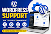 provide pro level wordpress support, maintenance and fixes