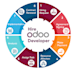 provide service as a odoo erp technical  developer
