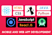 develop pwa or hybrid native apps using react, react native