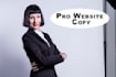 write pro copy for your entire website