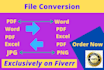 do file convert pdf to excel word data entry
