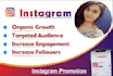 do fastest organic instagram growth