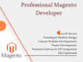 develop, upgrade, fix bugs in magento website