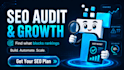perform a complete SEO audit and growth strategy