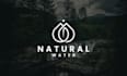 offer a fresh logo design