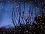 provide relaxing natural cozy rain video and ice rain videos