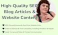 write your SEO blog article or website content