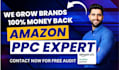 setup expert amazon ppc campaign manager for amazon ads